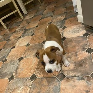 Meet your Posher, Ricardo